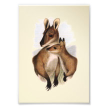 Wallaby Mother and Baby (painting) Art Photo