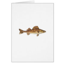 Walleye Art Greeting Cards