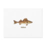 Walleye Art Post Cards