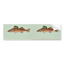 Walleye Bumper Sticker