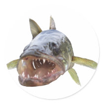 Walleye Face 8 Stickers