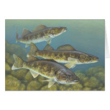 Walleye Painting Blank Card