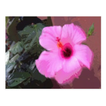 Wallflower Postcard