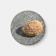 Walnut on a granule magnets