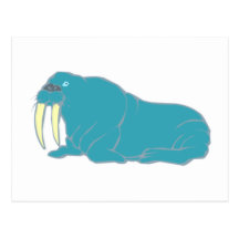 Walross walrus postkarte