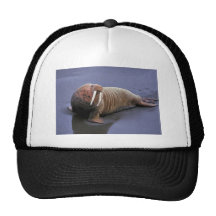 Walrus at Togiak National Wildlife Refuge Trucker Hat