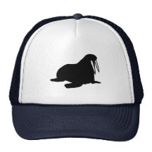 Walrus Hats