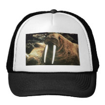 Walrus Male Mesh Hat