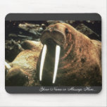Walrus Male Mouse Pads
