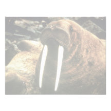 Walrus Male Personalized Invitation