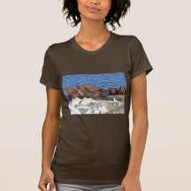 Walrus on Bering Sea Ice Tee Shirt
