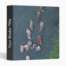 Walrus on Togiak National Wildlife Binder