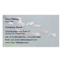 Walrus on Togiak National Wildlife Business Cards