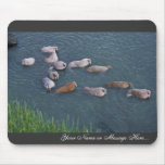 Walrus on Togiak National Wildlife Mousepad