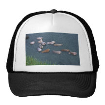 Walrus on Togiak National Wildlife Trucker Hats