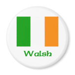 Walsh Irish Flag Fridge Magnet