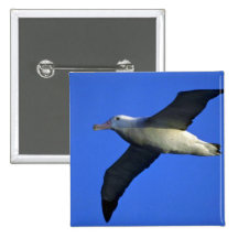 Wandering Albatross In Flight Button