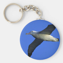 Wandering Albatross In Flight Key Chain