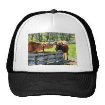 Want to Hear a Secret? Trucker Hats