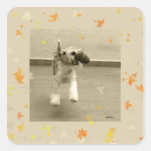 want to play? square sticker