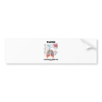 Wanted A Breath Of Fresh Air (Respiratory System)