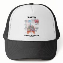 Wanted A Breath Of Fresh Air (Respiratory System)