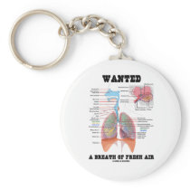 Wanted A Breath Of Fresh Air (Respiratory System)