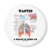 Wanted A Breath Of Fresh Air (Respiratory System)