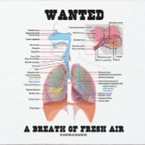 Wanted A Breath Of Fresh Air (Respiratory System)