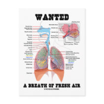 Wanted A Breath Of Fresh Air (Respiratory System)