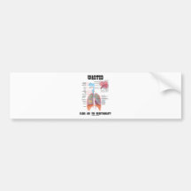Wanted Clean Air For Breathability (Respiratory) Bumper Sticker