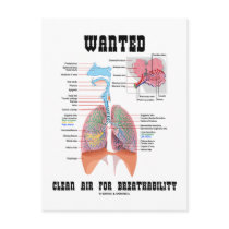 Wanted Clear Air For Breathability (Respiratory)