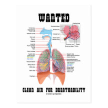 Wanted Clear Air For Breathability (Respiratory) Postcards