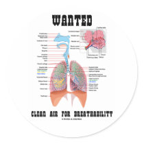 Wanted Clear Air For Breathability (Respiratory)