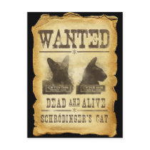 Wanted dead and alive.  Schroedinger's cat. Post Card