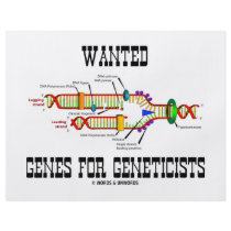 Wanted Genes For Geneticists (DNA Replication)