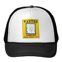 Wanted: Mashiach Hats