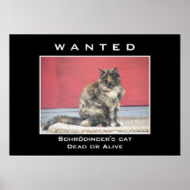 Wanted