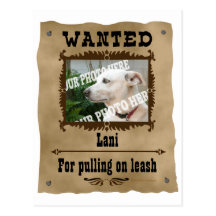 Wanted Wild West Poster Pet Custom Photo Template Post Card