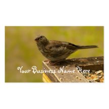 Warbler on a Snacky Perch Business Card