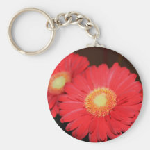 Warm Gerber Daisy Keychains
