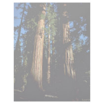 Warm redwoods custom letterhead