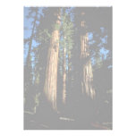 Warm redwoods personalized invitations