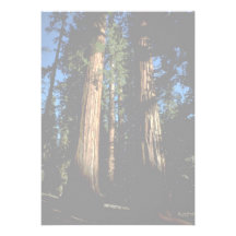 Warm redwoods personalized invitations