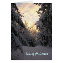 Warm Wishes Christmas Snowfall Cards