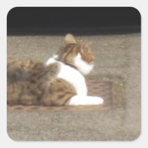 Warms your bones, it does square sticker