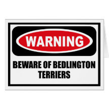 Warning BEWARE OF BEDLINGTON TERRIERS Greeting Car Greeting Card