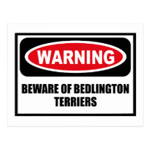 Warning BEWARE OF BEDLINGTON TERRIERS Postcard