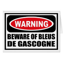 Warning BEWARE OF BLEUS DE GASCOGNE Greeting Card