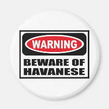 Warning BEWARE OF HAVANESE Magnet